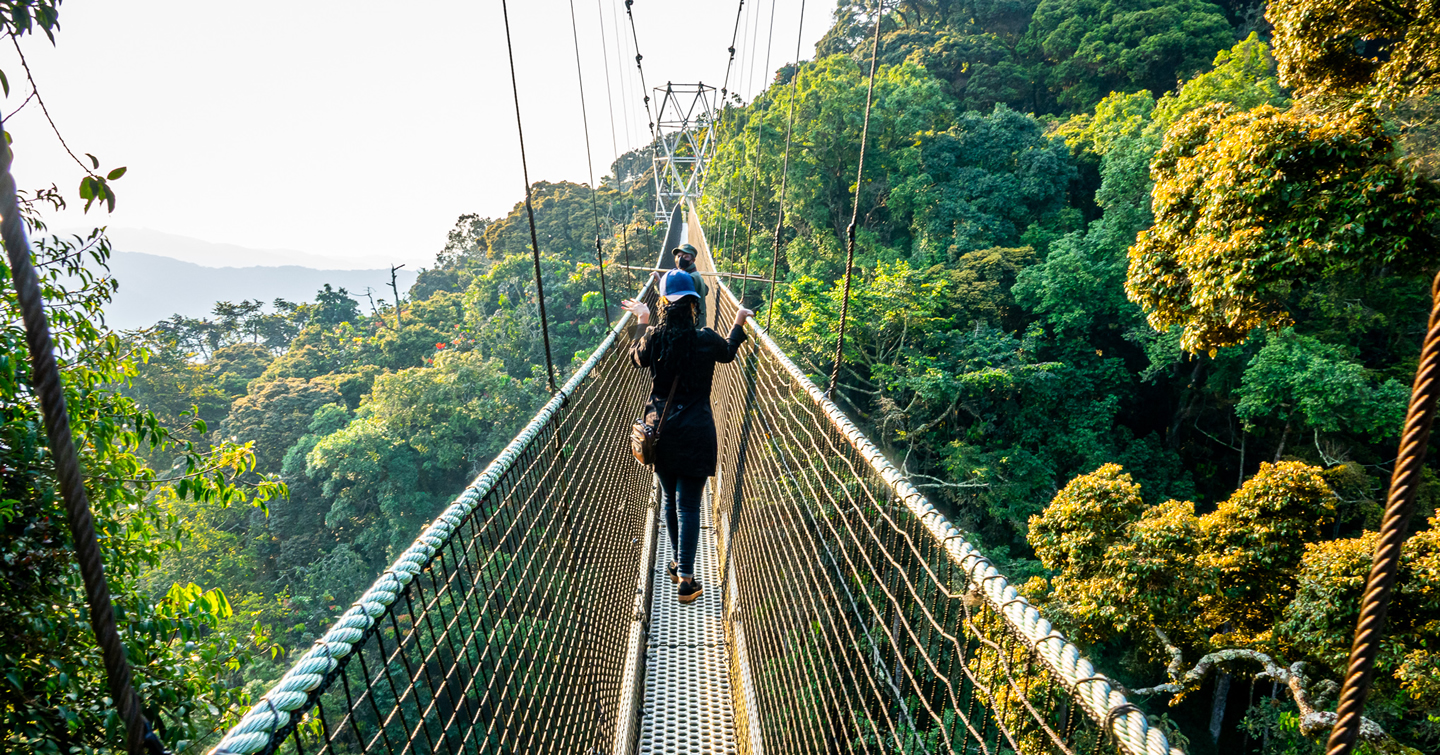 What Makes Rwanda a Perfect Tour Destination